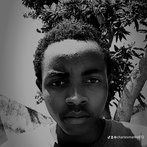 Charles - Malawi artist on MalawiSongs