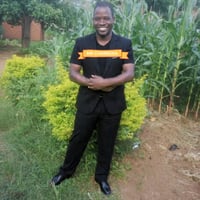 Chimbex malawi songs