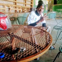 Hamilton malawi songs