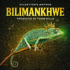 bilimankhwe Only legend Studio