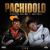Pachidolo
