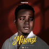 Toptik - MISONZI (Official Audio) by Malawisongs
