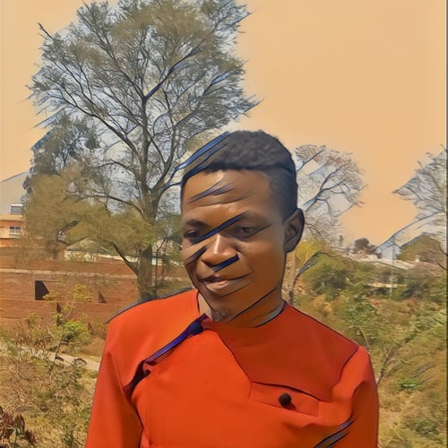 Allan - Malawi artist on MalawiSongs