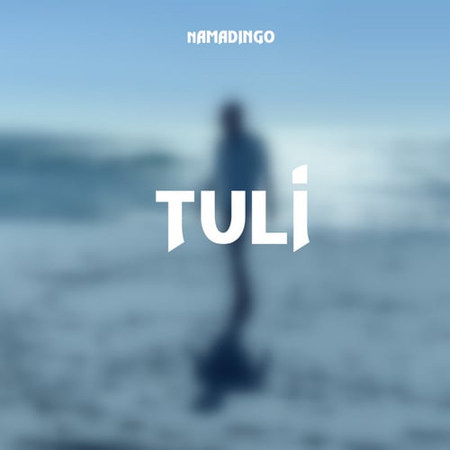 Tuli by Malawisongs - MalawiSongs