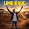 Limbikabe by Kay D mw
