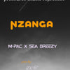 nzanga by PRESSURES MUSIC