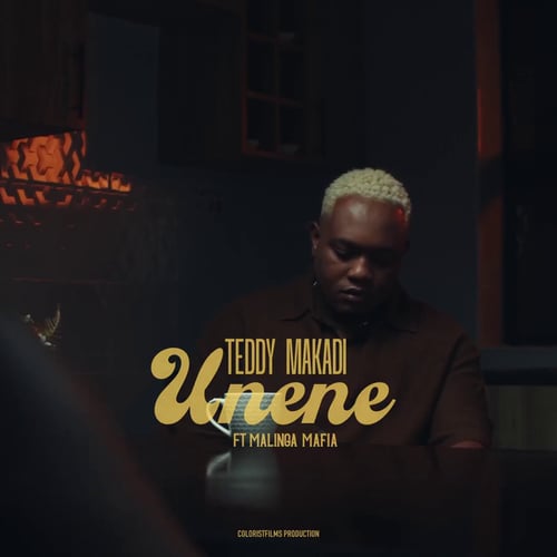 Teddy Makadi Unene Ft Malinga Official Audio by Malawisongs Malawi song