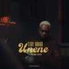 Teddy Makadi Unene Ft Malinga Official Audio