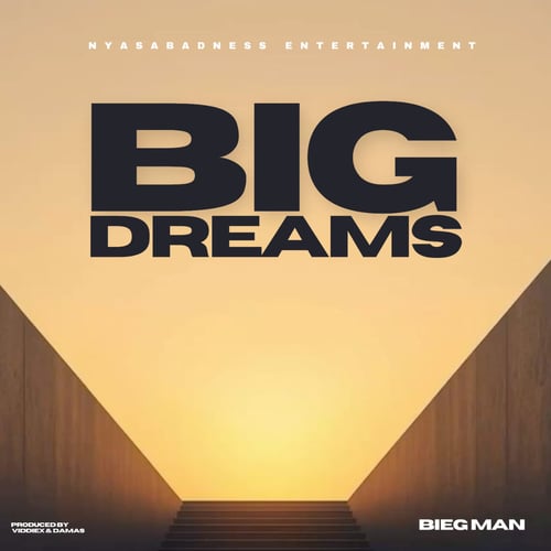 Biegman Big Dreams 7 Series Riddim by Bieg Man - MalawiSongs