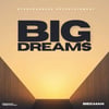 Biegman Big Dreams 7 Series Riddim