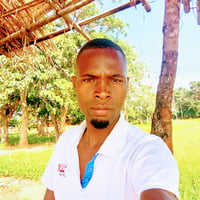 Laurent malawi songs