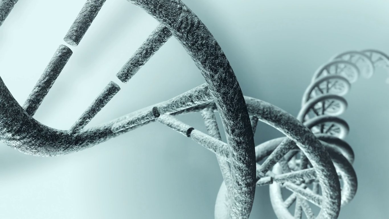 How to get the most out of your DNA results