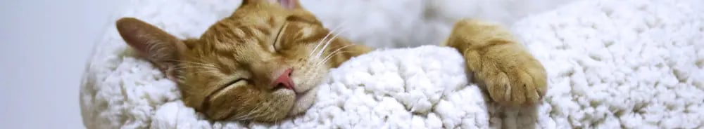 15+ Client Gifts for Realtors, Cozy Gifts for Comfort