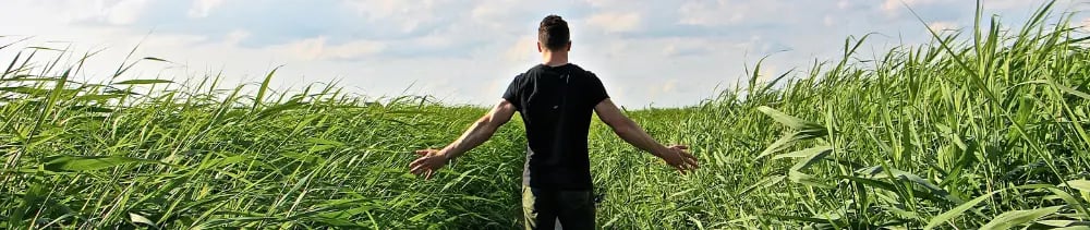 How to Leave a Real Estate Brokerage, Understanding the Departure Process