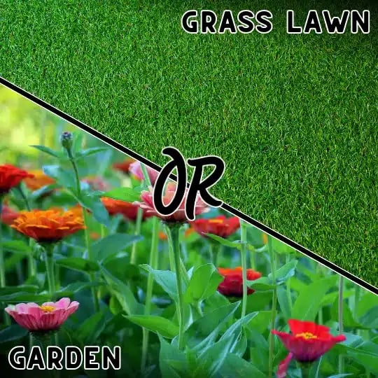 a collage of flowers and grass