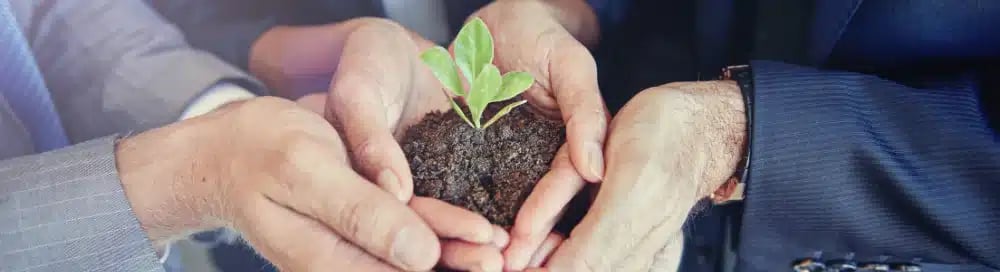 Real Estate Agent Marketing - Hands nurturing a small plant, representing providing value