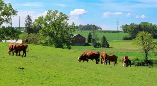 eXp Land and Ranch, Built For Acreage and Rural Specialists