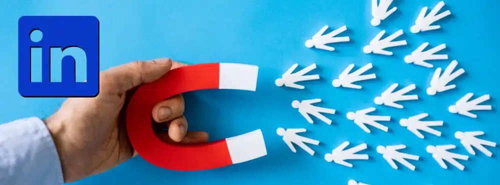 LinkedIn: The Professional Park