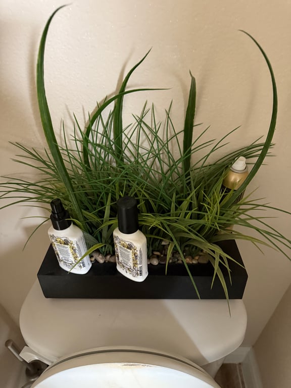 Office Decor Plant For Staging