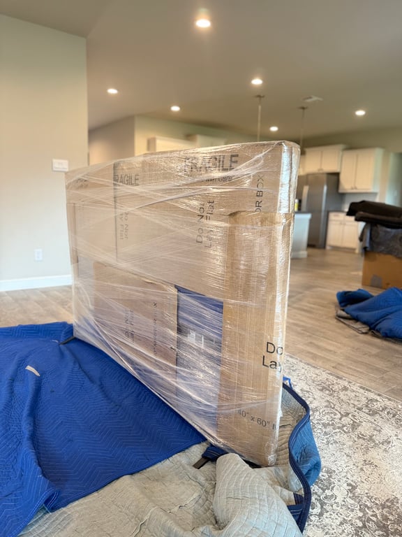 Flat Screen Tv Padded Protection Moving3