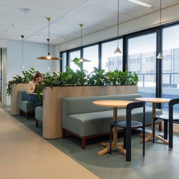 Design & Build_header