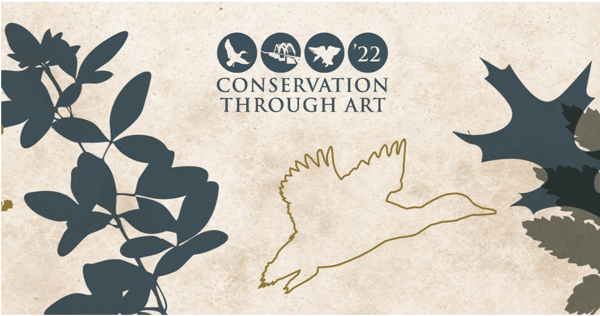 Conservation Through Art