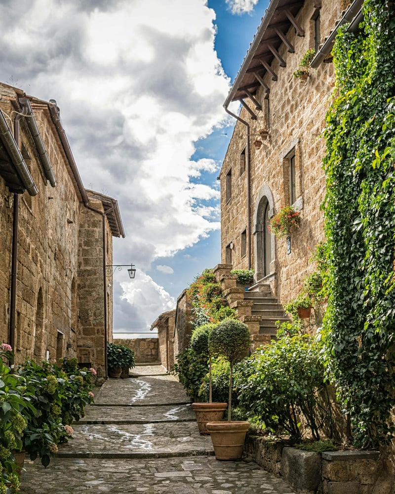 Tuscan hillside with cypress trees at golden hour