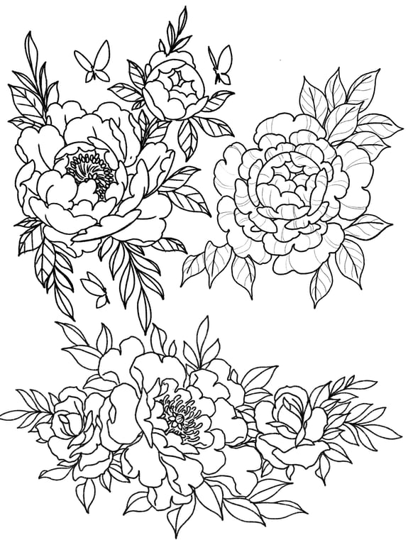 Enchanted Peony Collection