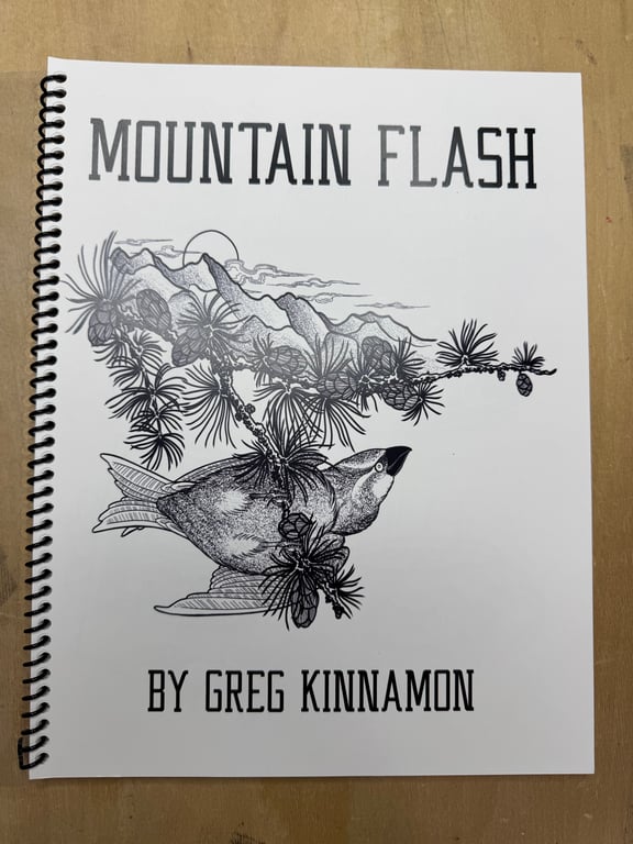 Mountain Flash: A Journey Through Ink