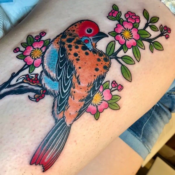 Colorful Traditional Songbird on a Branch