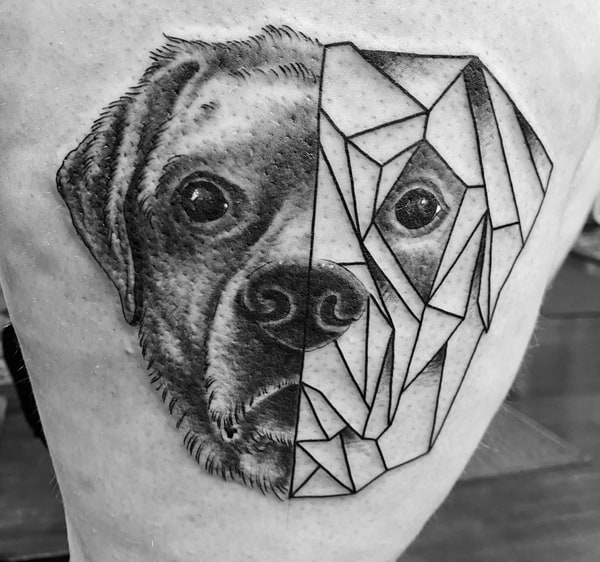 Duality of Canine Beauty