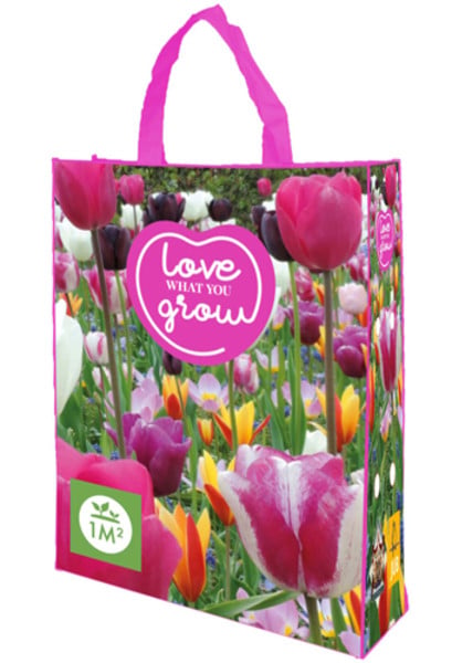 Violet Friends - Help Nature Grow | Plantoris
