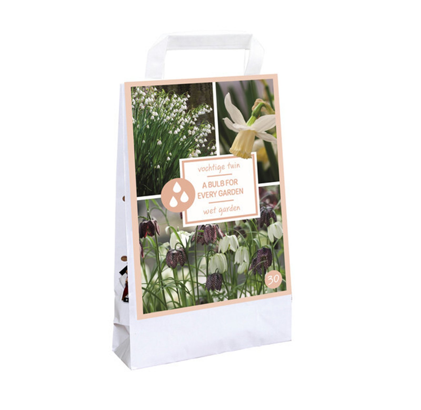 Bulbs for Every Garden - Wet Garden | Plantoris