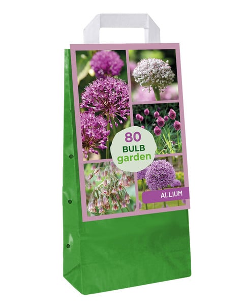 Bulb Garden Allium - 80 cebulek | Plantoris