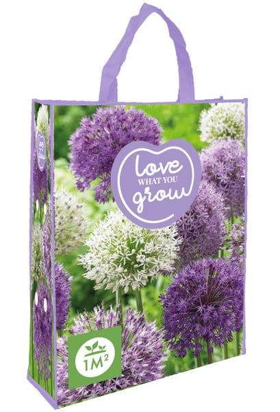 Allium Purple/White - Love What You Grow | Plantoris
