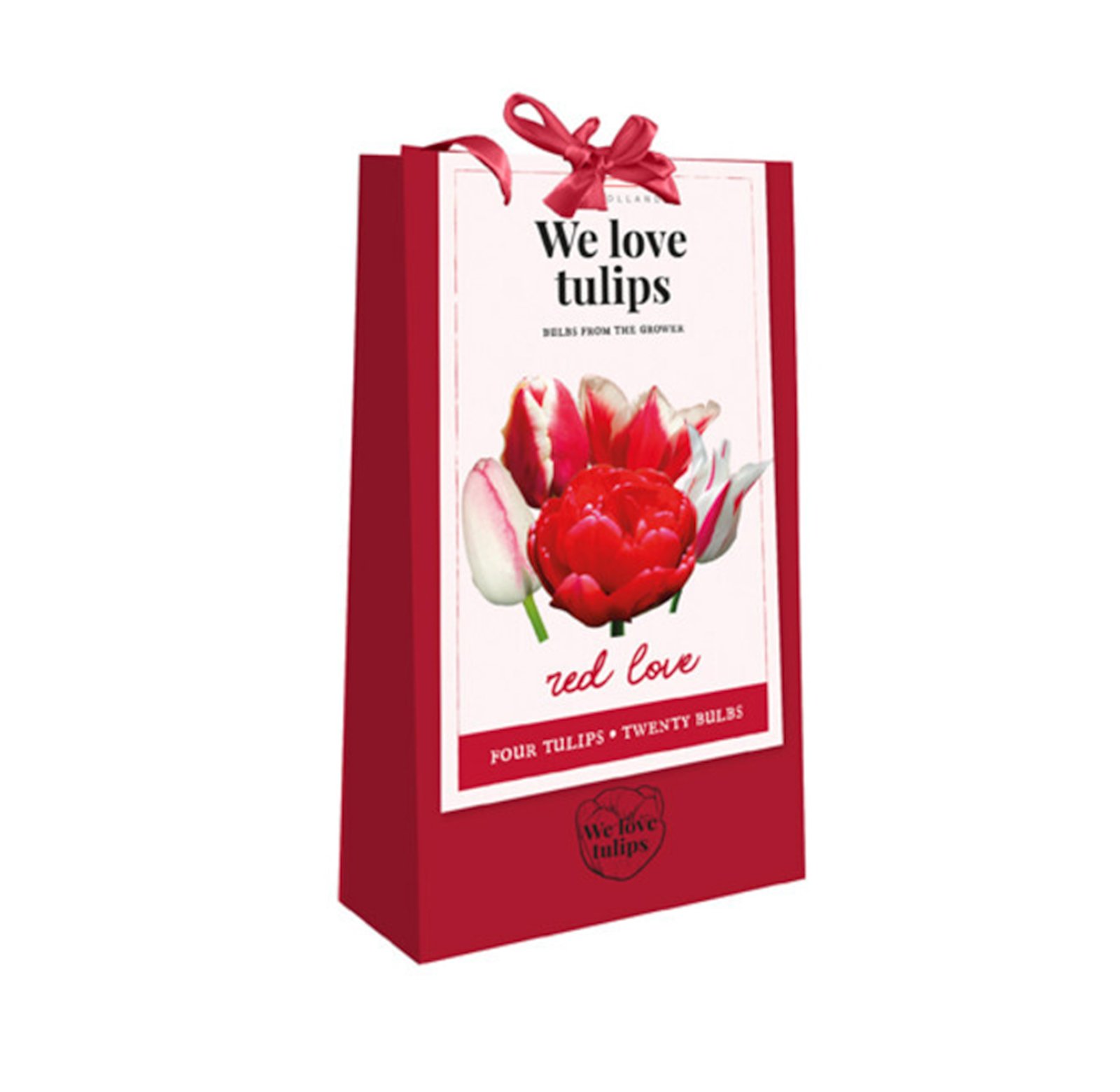 We Love Tulips Red Love - 20 cebulek | Plantoris