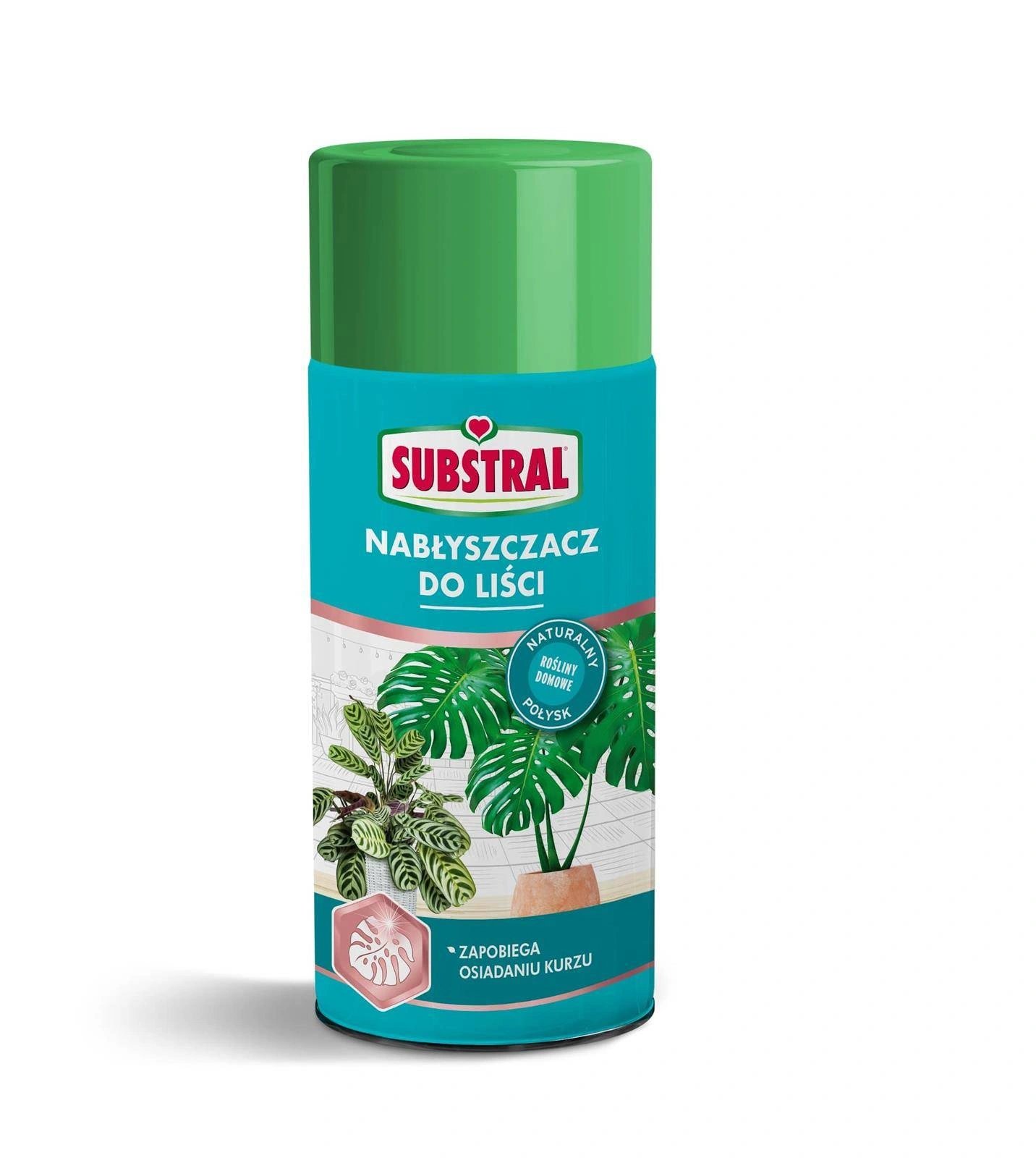 Nabłyszczacz do liści 200 ml – połysk roślin doniczkowych