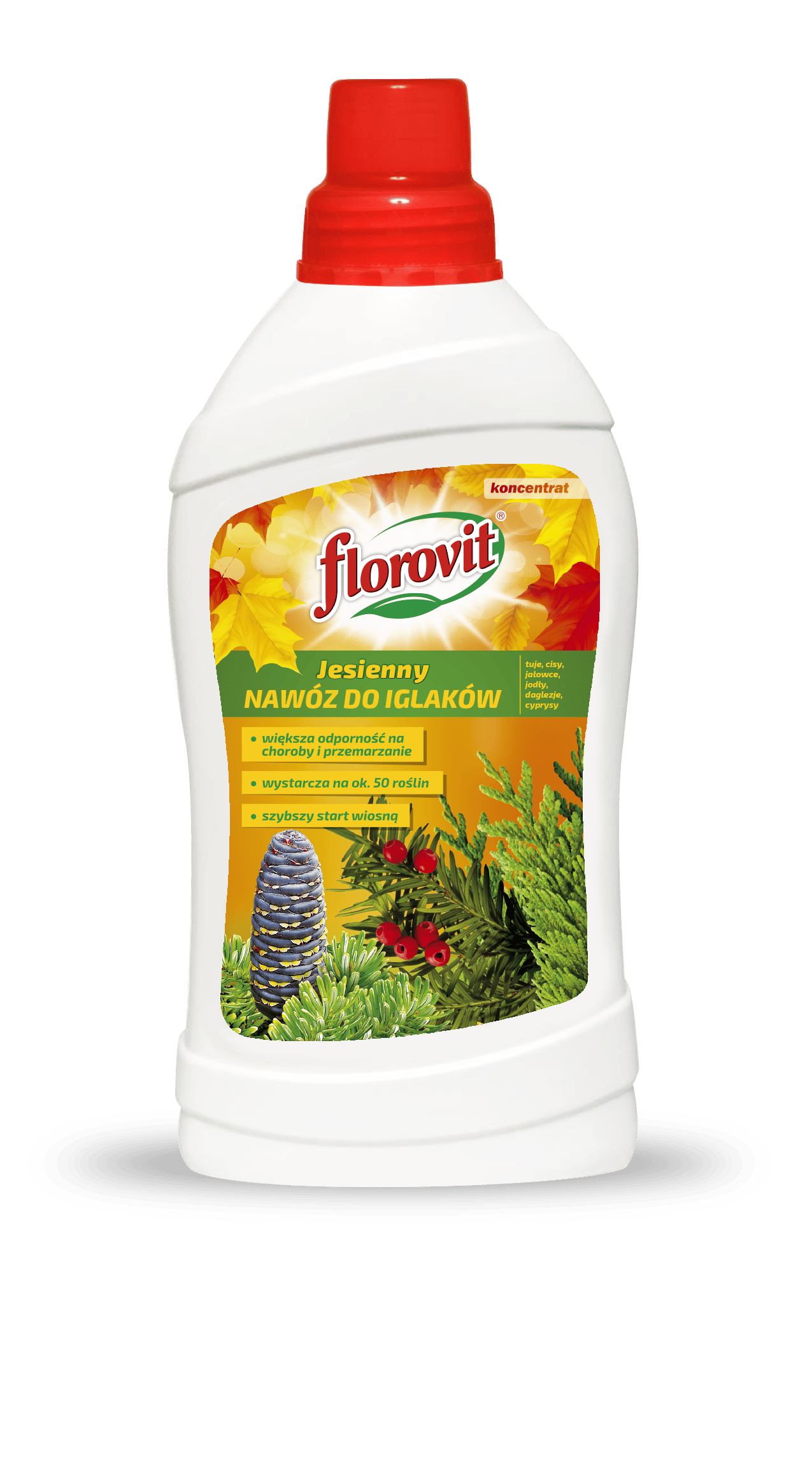 Nawóz jesienny do iglaków Florovit 1 L. Płynna formuła chroniąca tuje i iglaki przed mrozem oraz brązowieniem igieł.
