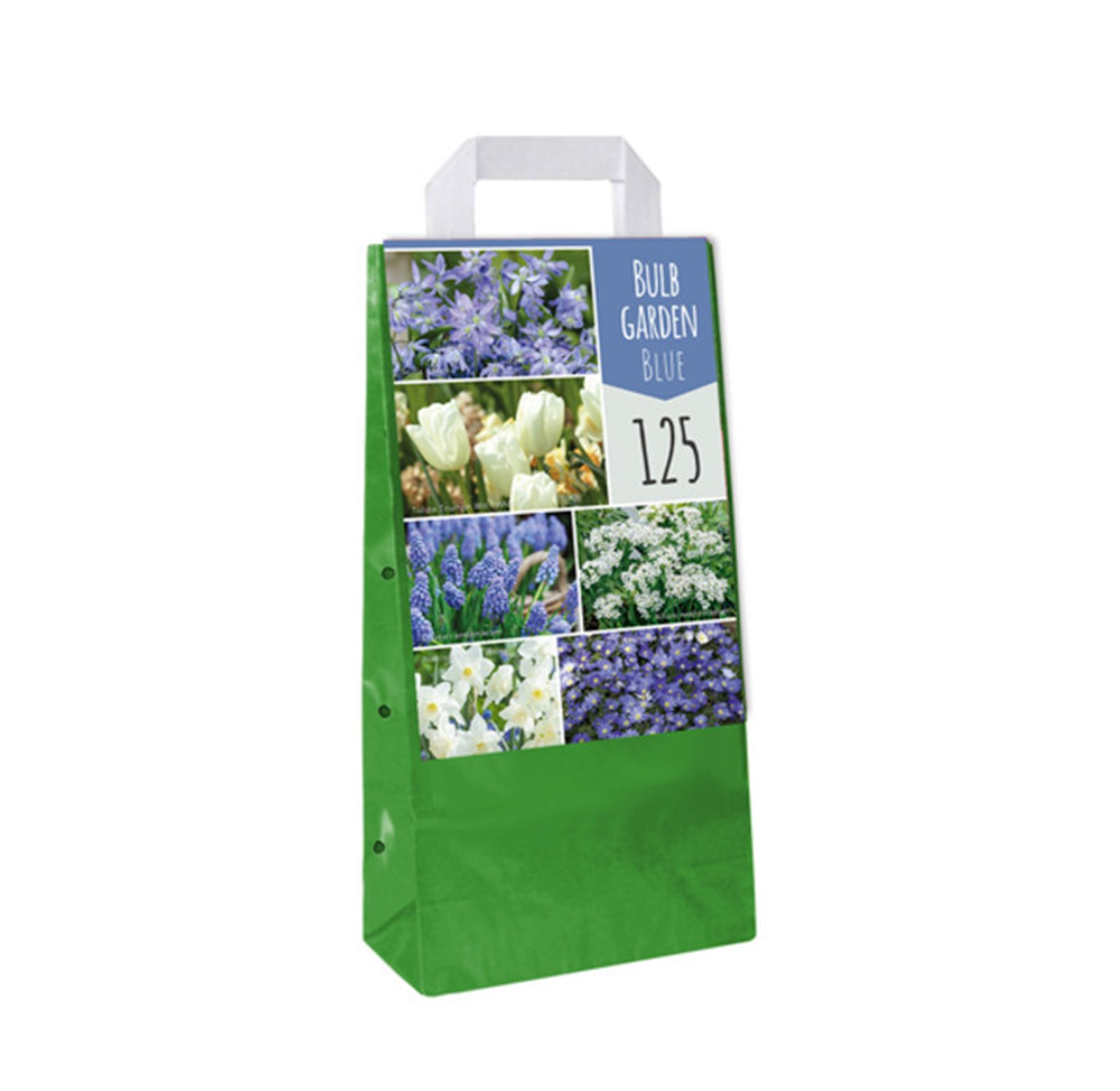 Cebulki ogrodowe Blue 125szt.