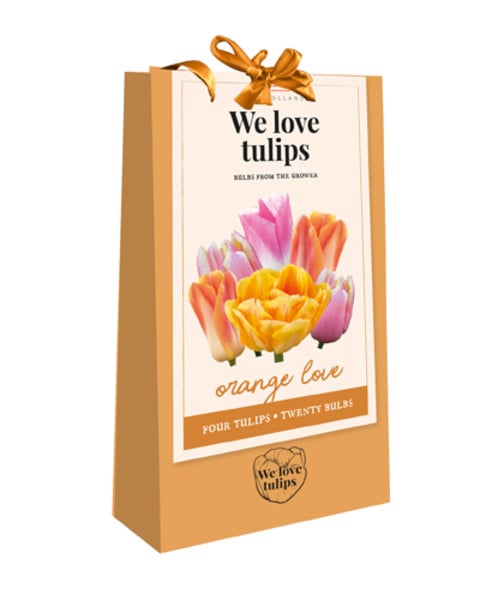 Zestaw 20 cebulek tulipanów Orange Love
