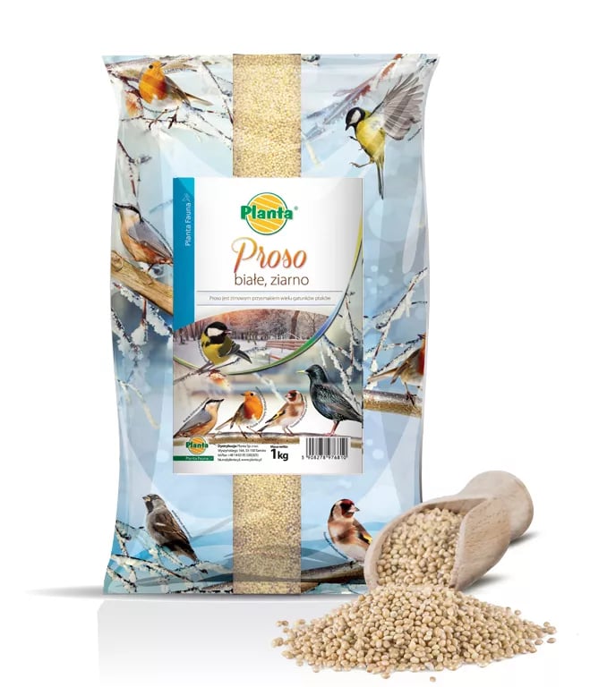 Proso białe 1 kg dla ptaków