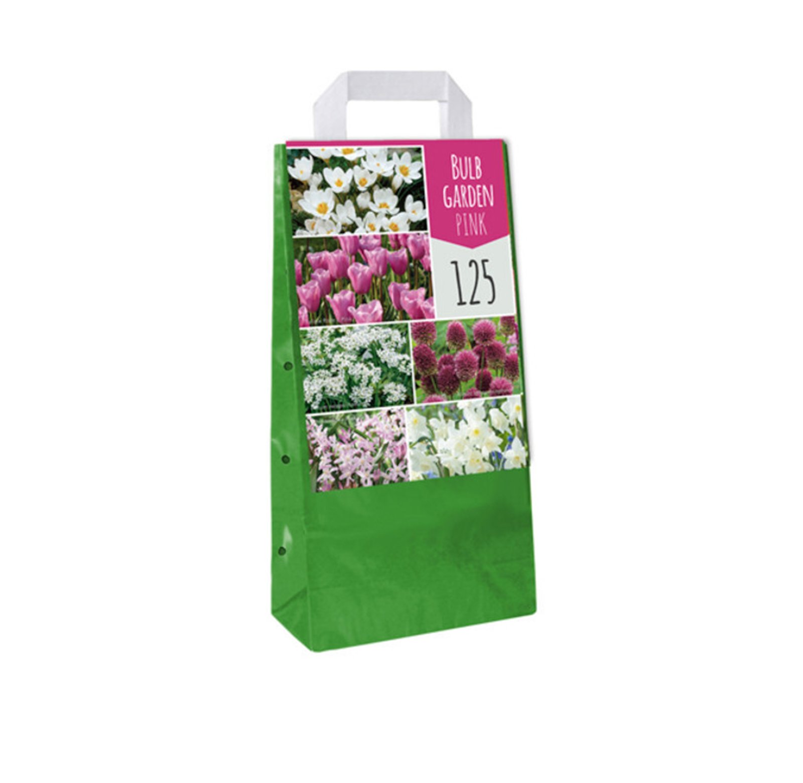 Bulb Garden Pink - 125 cebulek | Plantoris