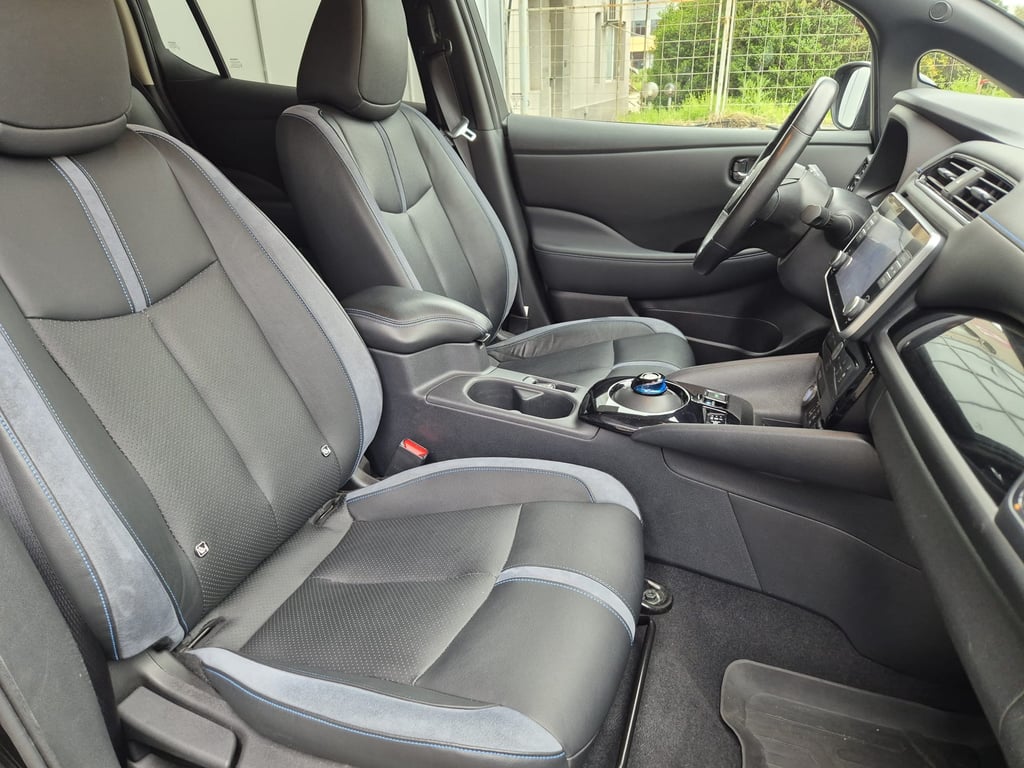 Nissan Leaf Tekna - снимка 12 от 14