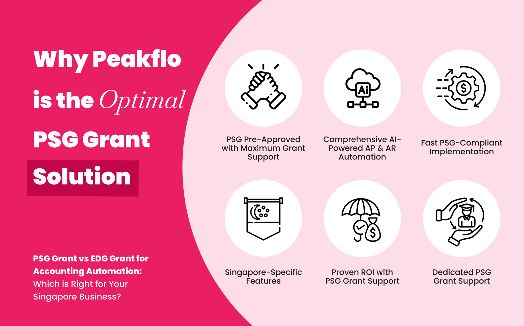 Peakflo PSG-approved accounting automation platform dashboard interface for Singapore SMEs