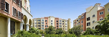 UAE Area Guide
