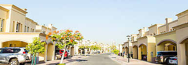UAE Area Guide