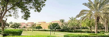 UAE Area Guide