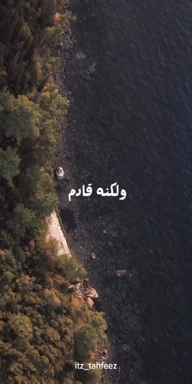 امجد الاشول's profile picture