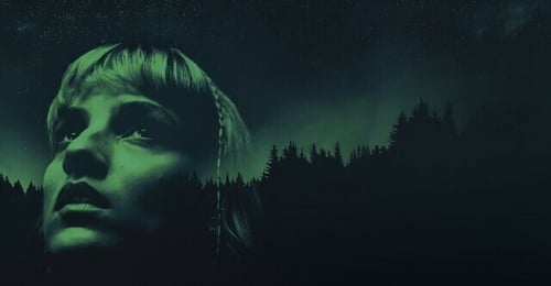 Festival International du Film Fantastique de Neuchâtel : Pendant ce temps sur Terre