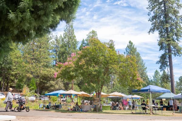 A Magical Midsummer Festival at North Star House